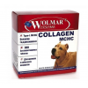 WOLMAR WINSOME COLLAGEN MCHC (Биофарм), 360 таб