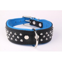 ZOOLESZCZ Ошейник для собак "Studs", черно-голубой