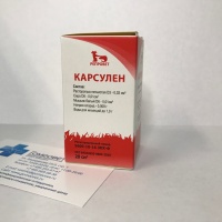Карсулен (Репровет), р-р для инъекций, флак. 20 или 100 мл